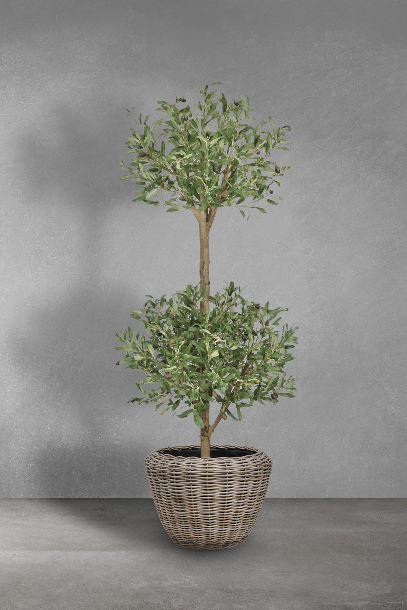 Five-Star Hotel Lobby Ficus Landscaping