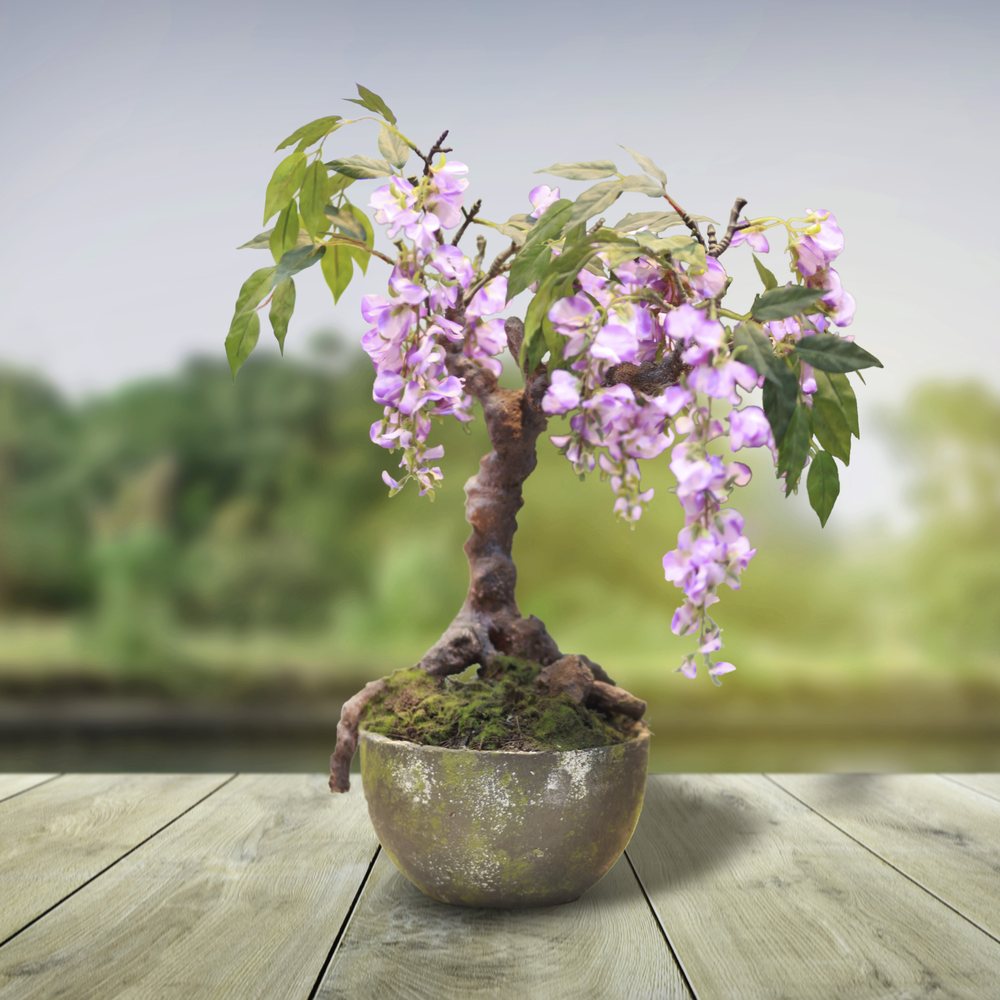 Artificial Wisteria Bonsai
