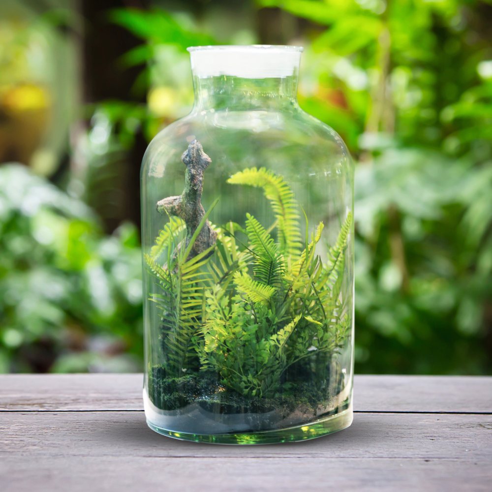 Fern Terrarium Jar